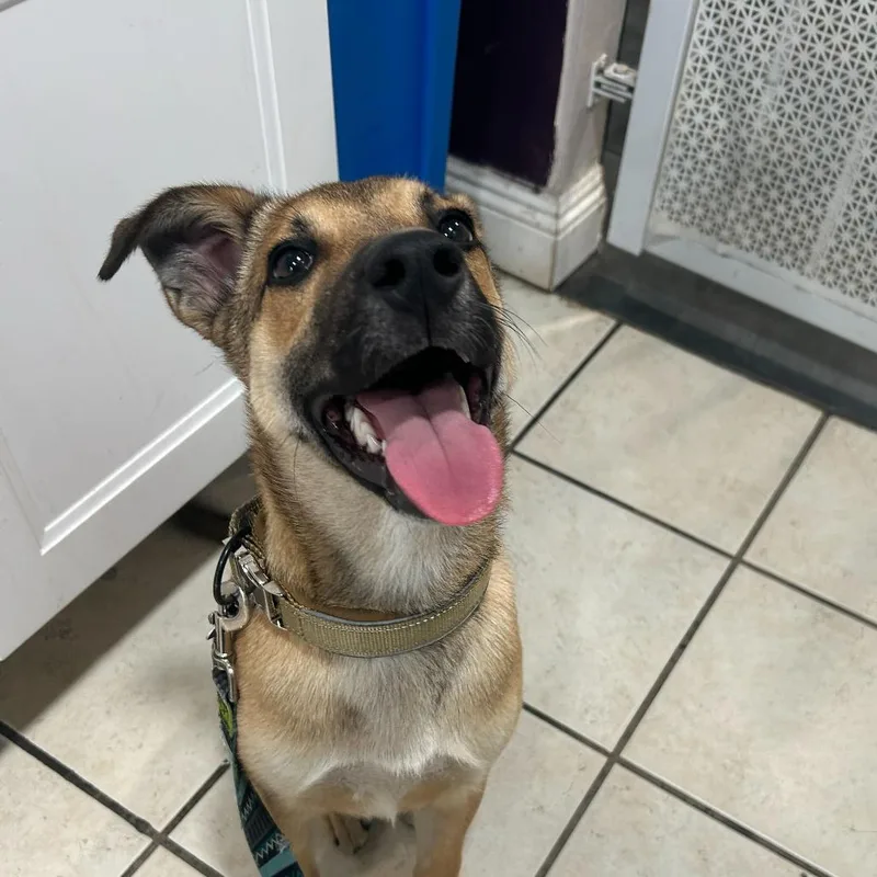 Trinidad thumbnail 3