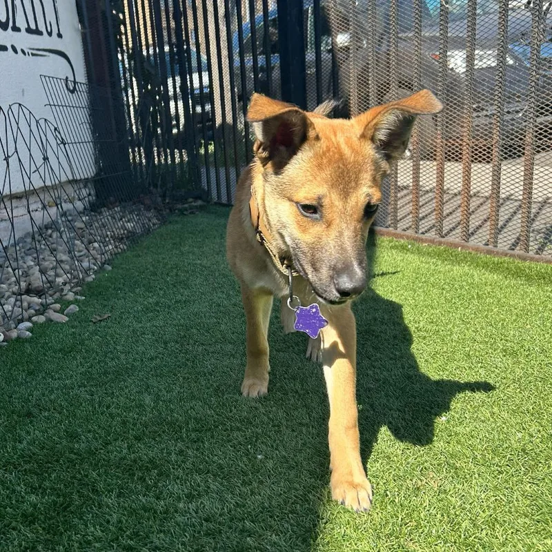 Trinidad thumbnail 4