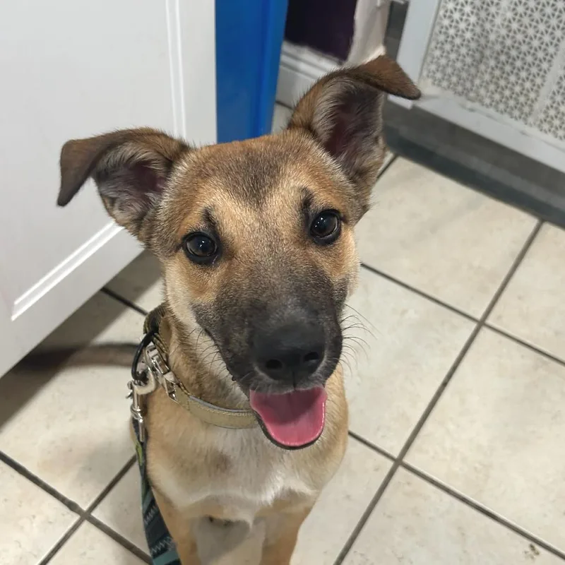 Trinidad thumbnail 5