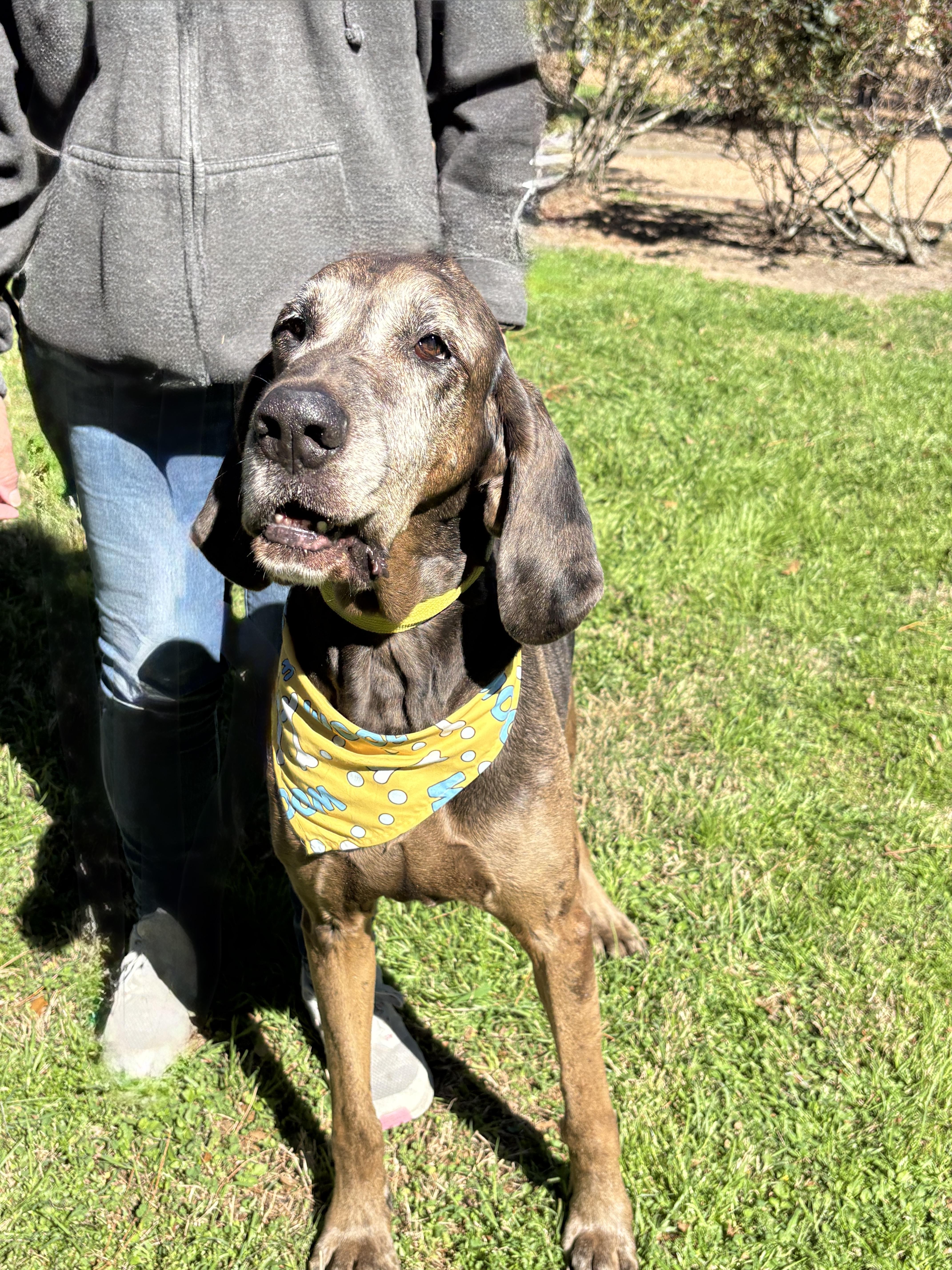 Maggie Lovable thumbnail 5