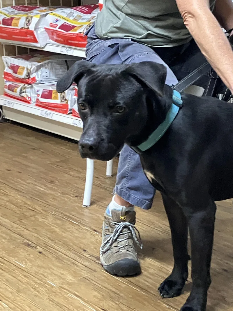 Cole  Lively And thumbnail 4