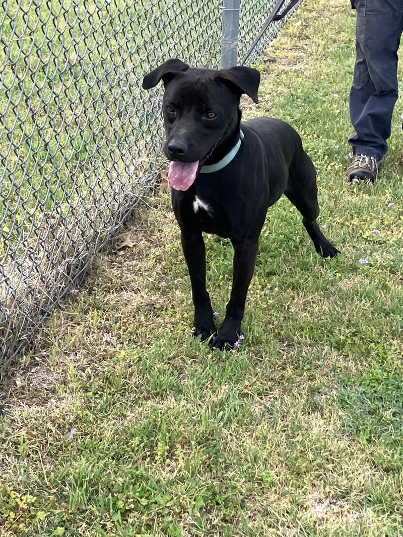 Cole  Lively And thumbnail 5