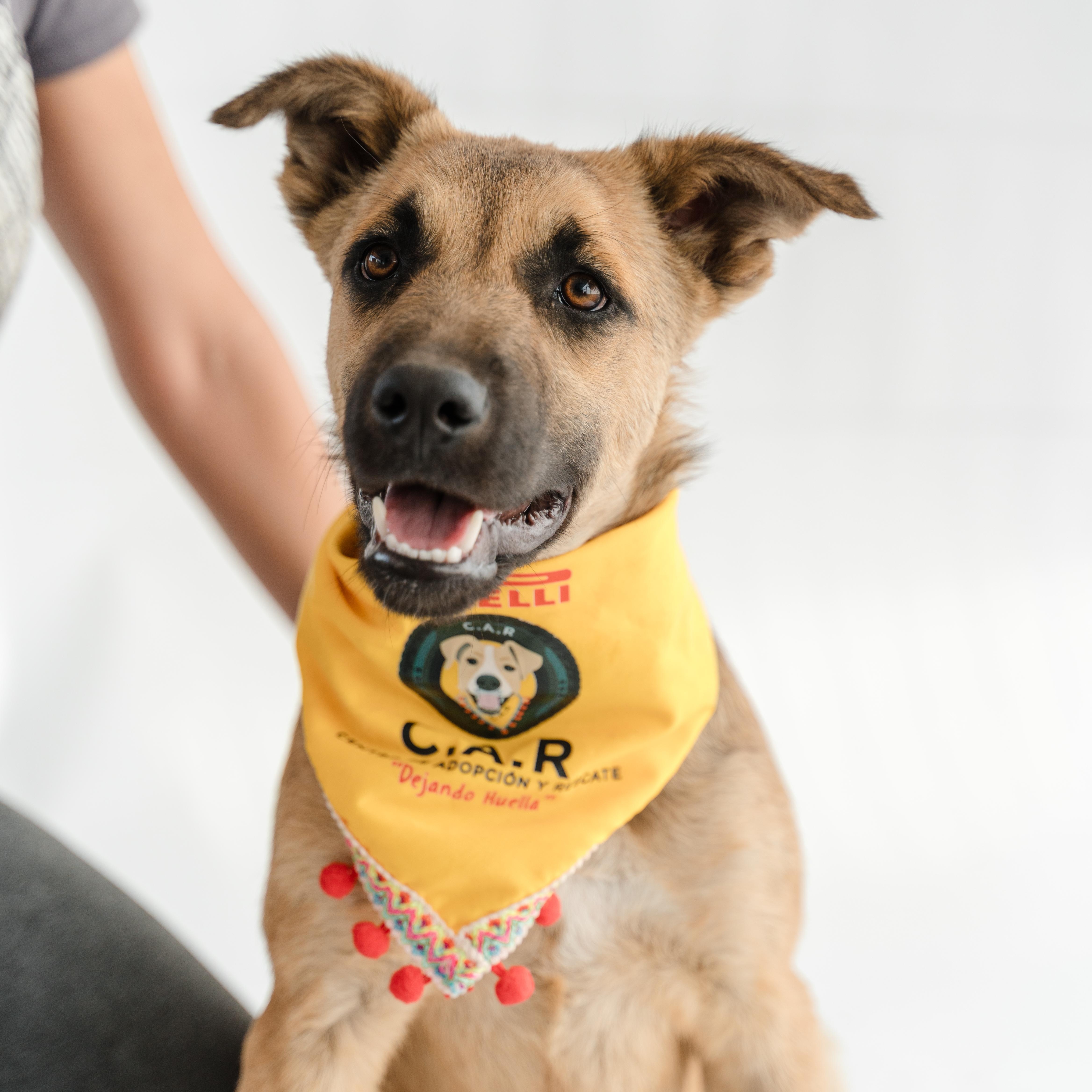 Moonlight thumbnail 2