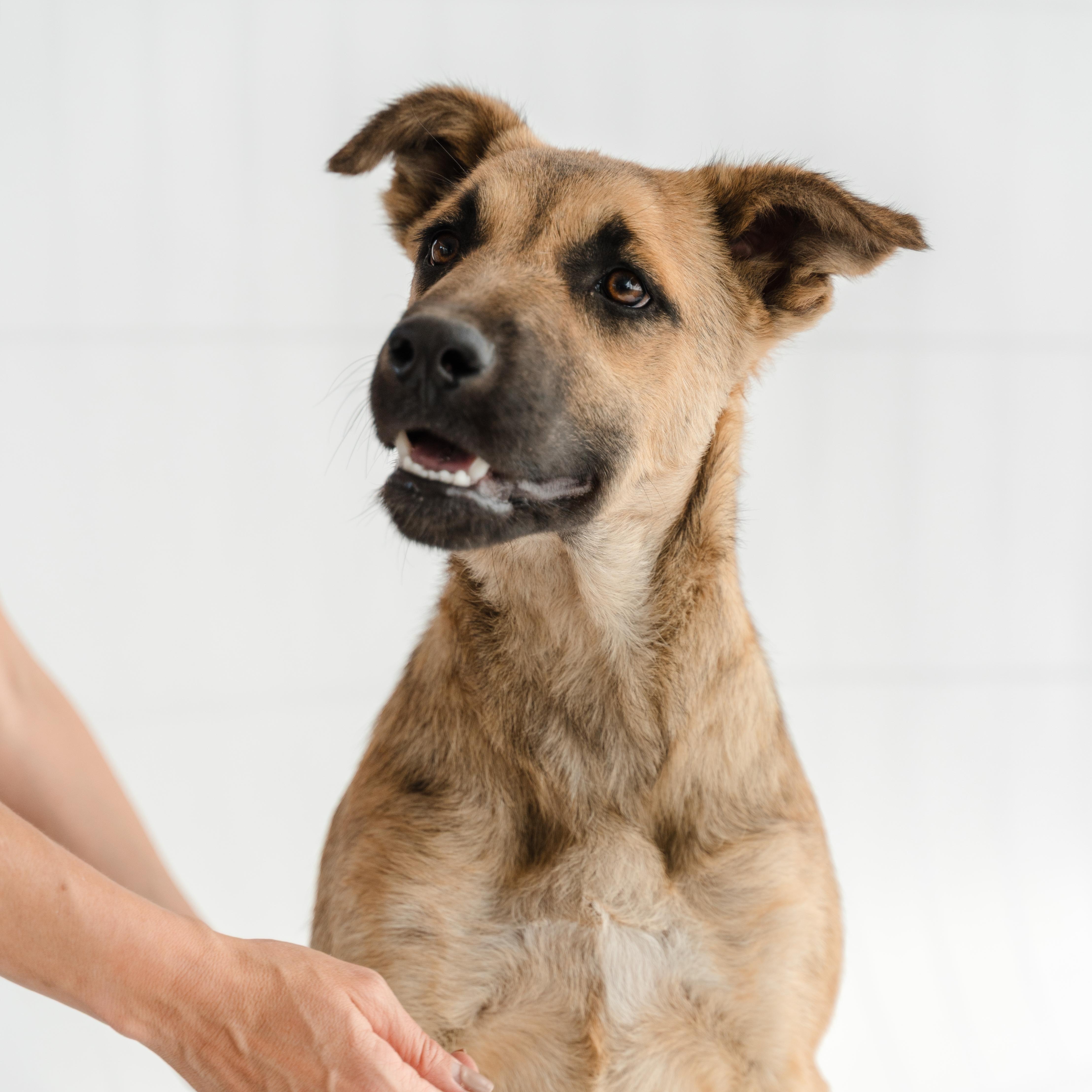 Moonlight thumbnail 3