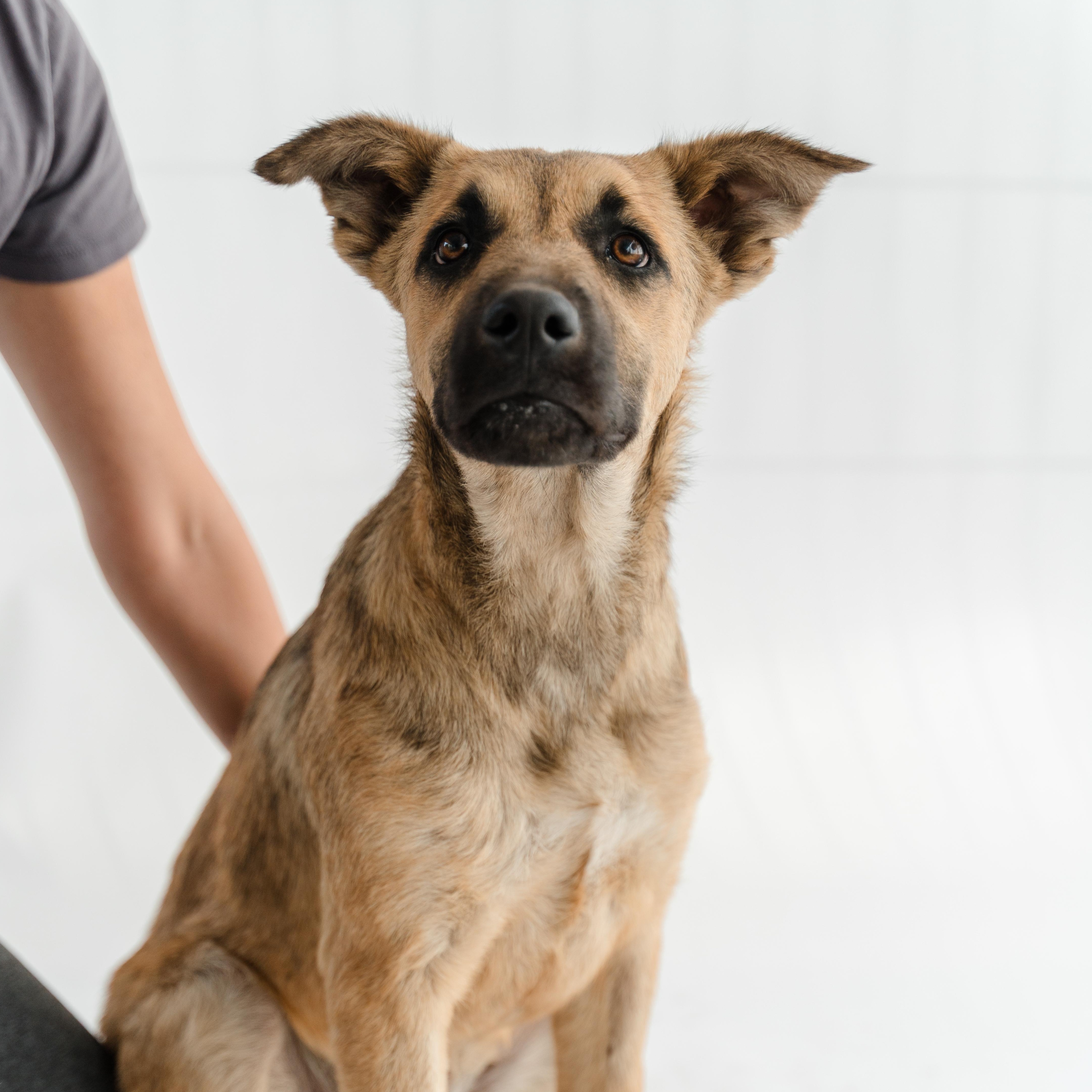 Moonlight thumbnail 4