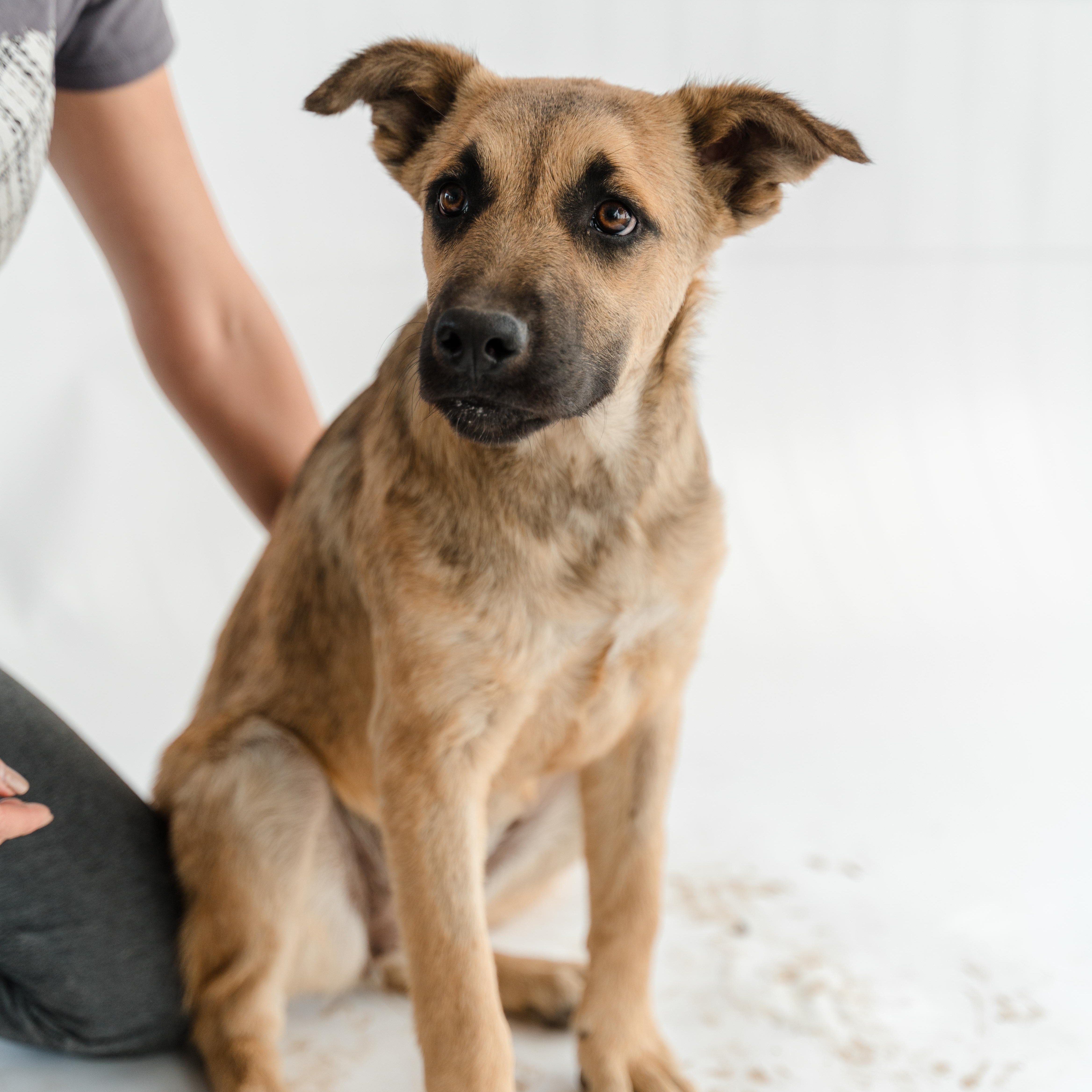 Moonlight thumbnail 5