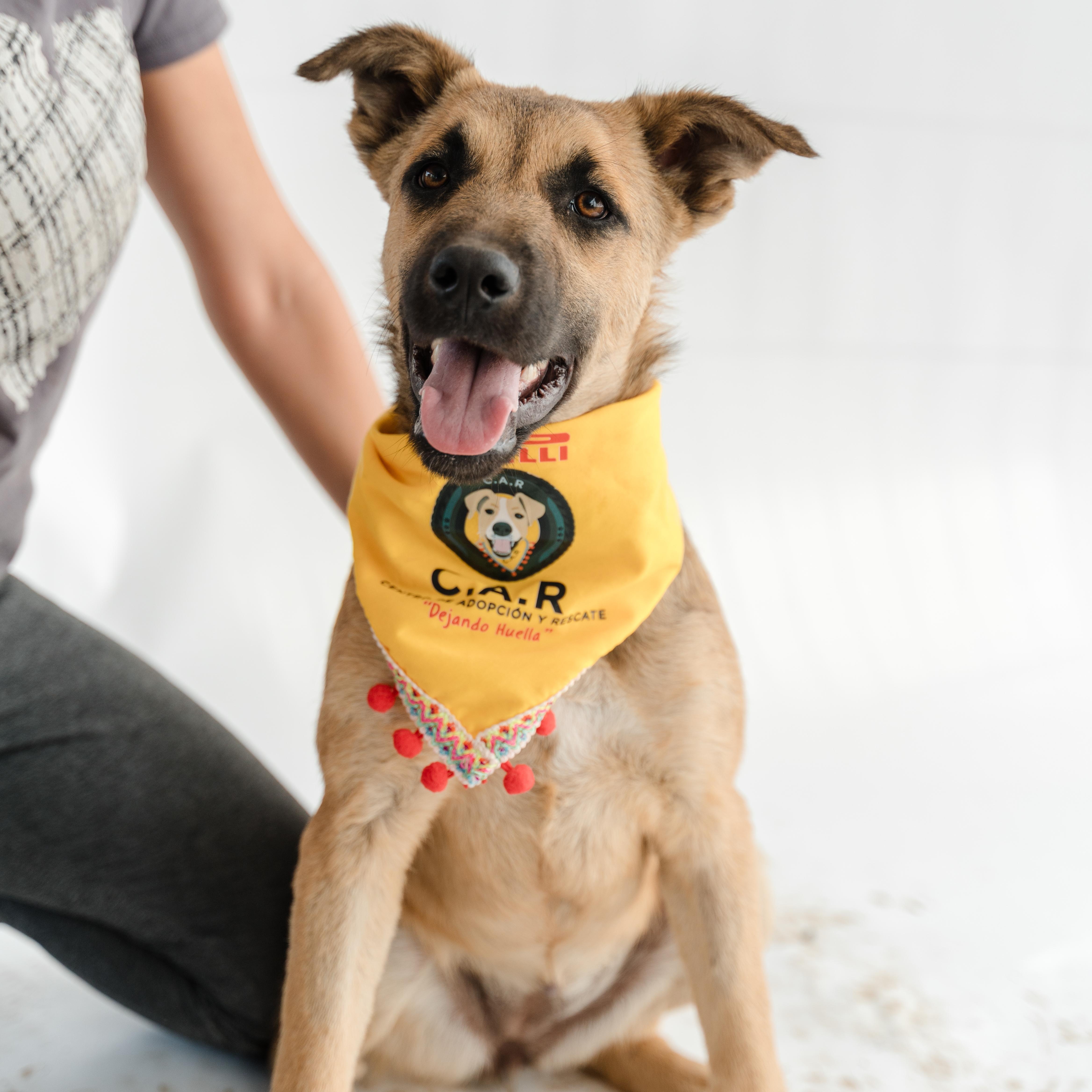 Moonlight thumbnail 6