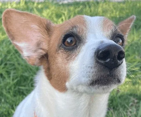 Bugsy J. thumbnail 2