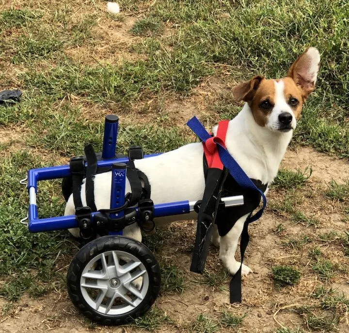 Bugsy J. thumbnail 3