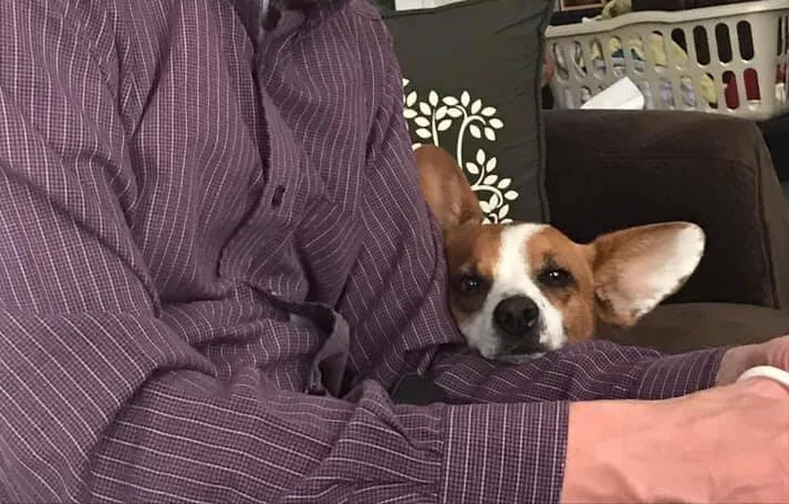 Bugsy J. thumbnail 4