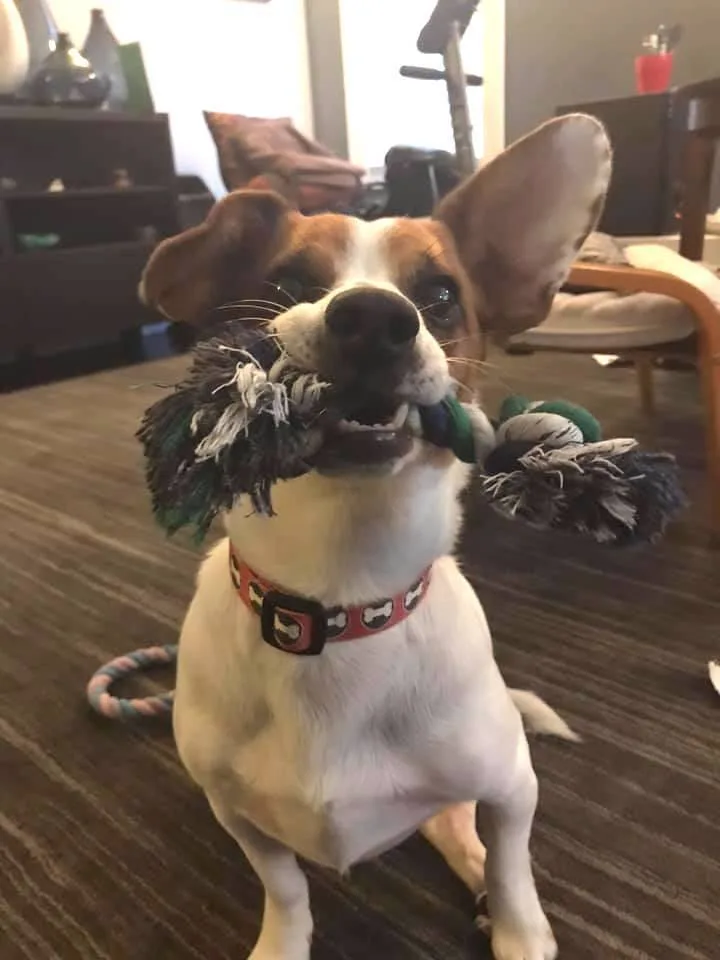 Bugsy J. thumbnail 5