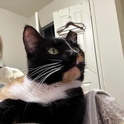 Sunshine thumbnail 2