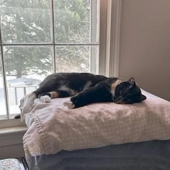 Sunshine thumbnail 5