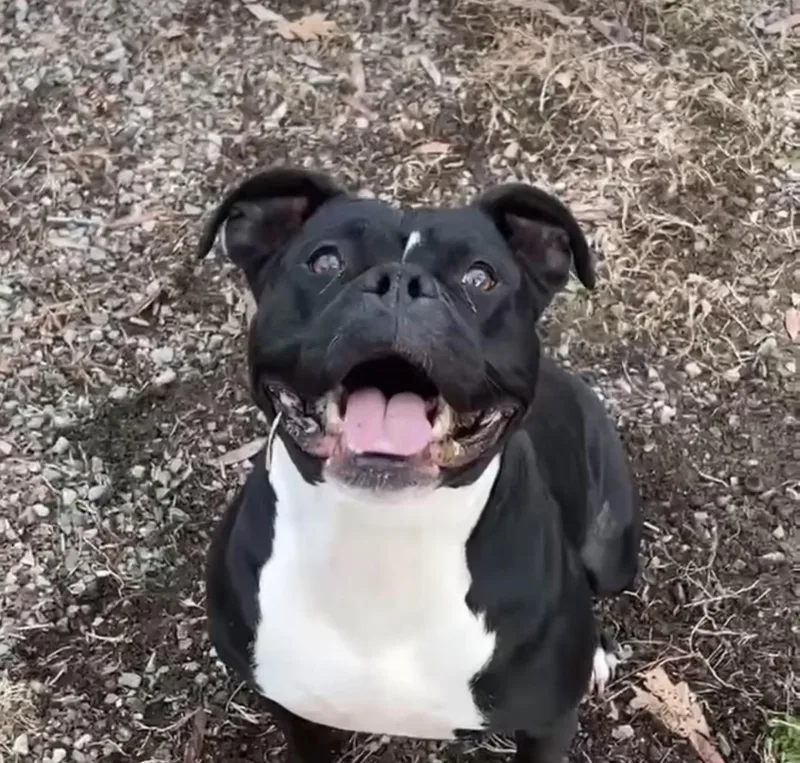 Wednesday thumbnail 4