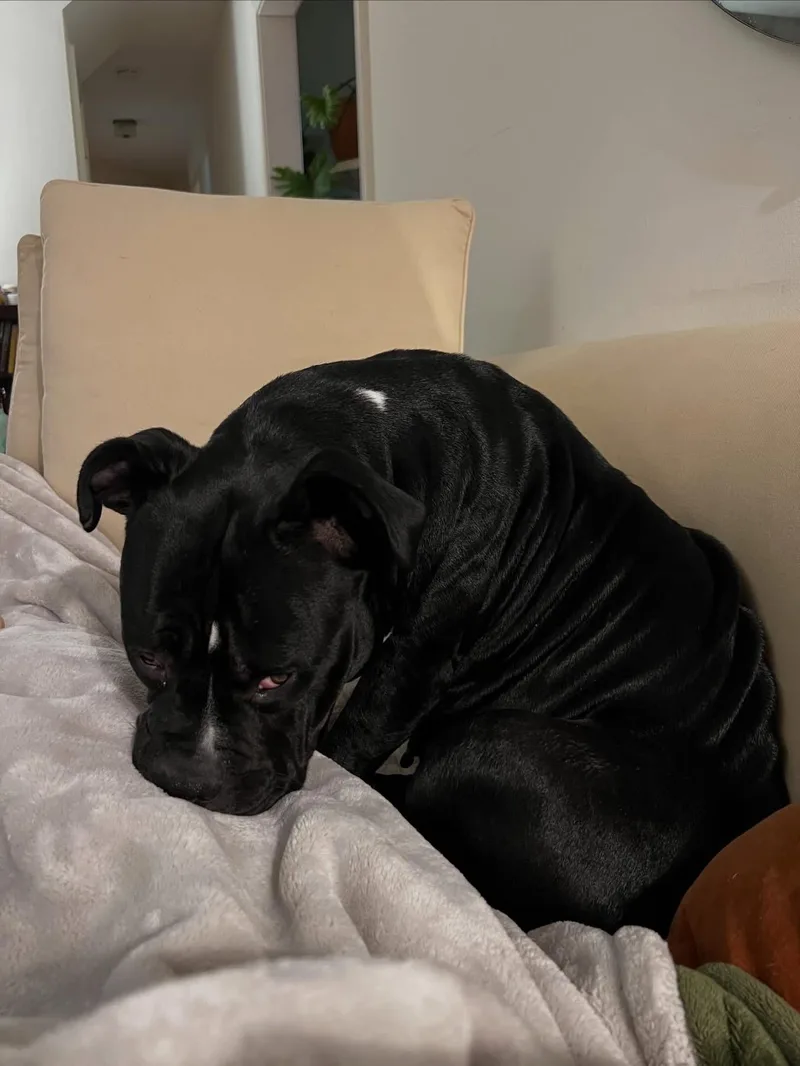 Wednesday thumbnail 5