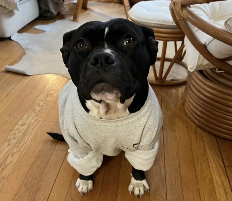 Wednesday thumbnail 6