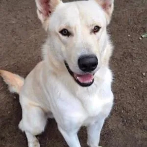 Kimbabeautiful And Kind thumbnail 3