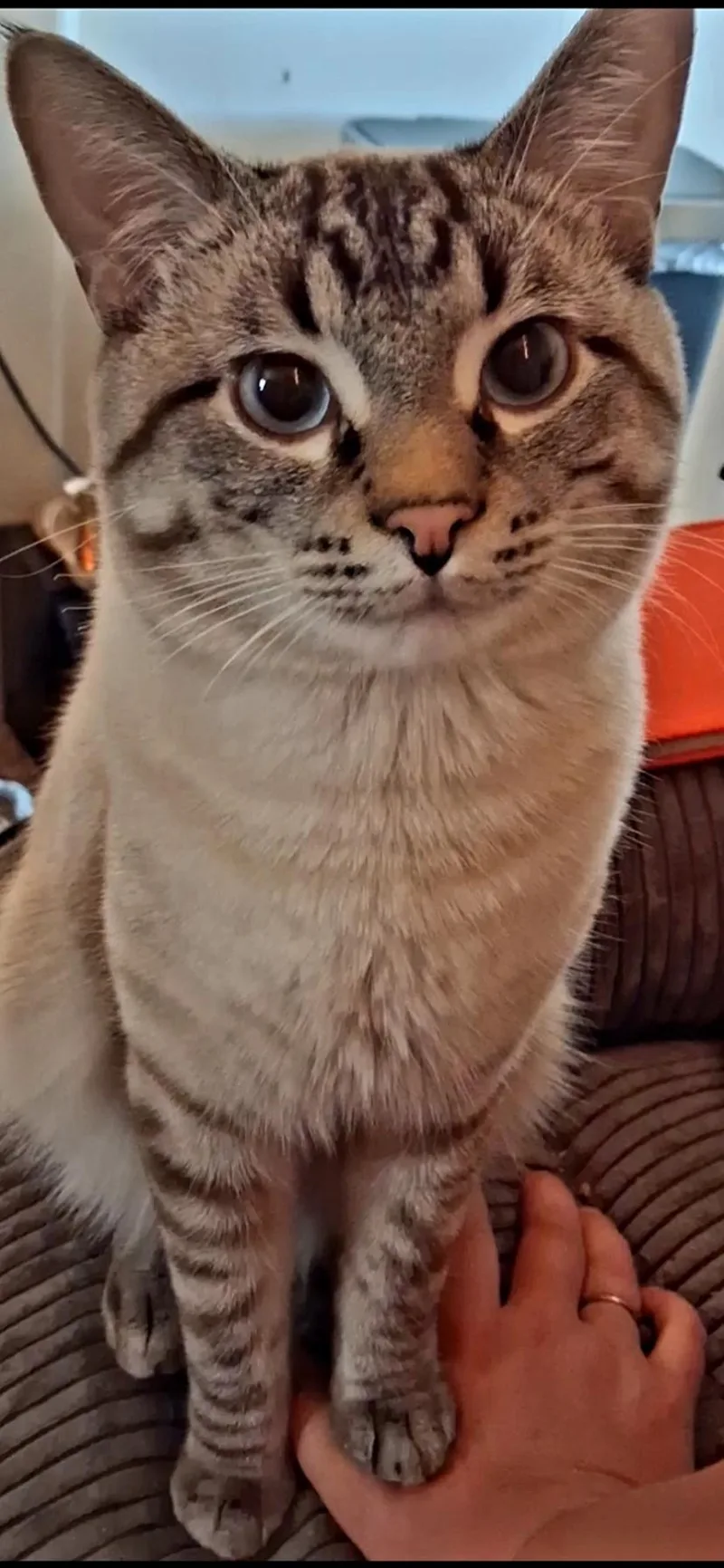Benny Boy thumbnail 5