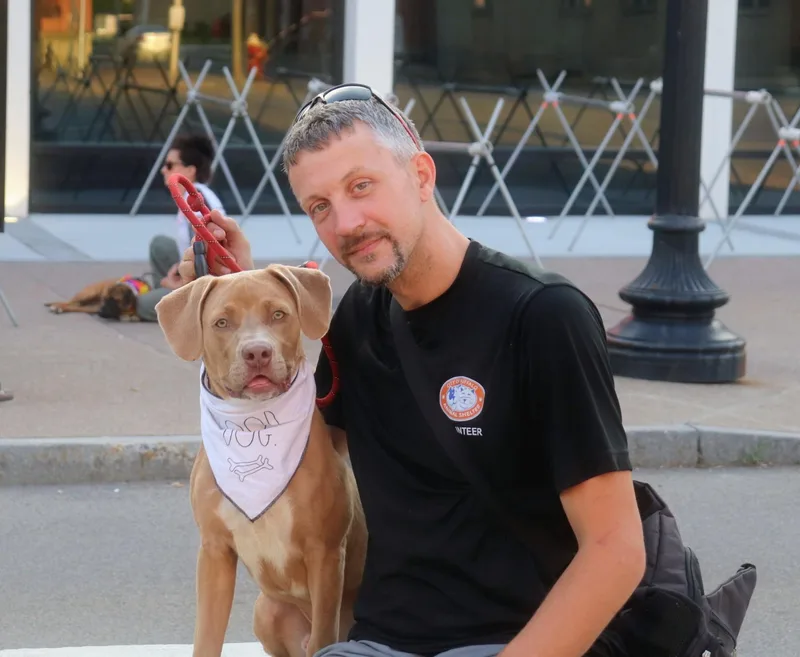 A young medium-sized male Mixed Breed dog named Quincy for adoption in Buffalo, NY