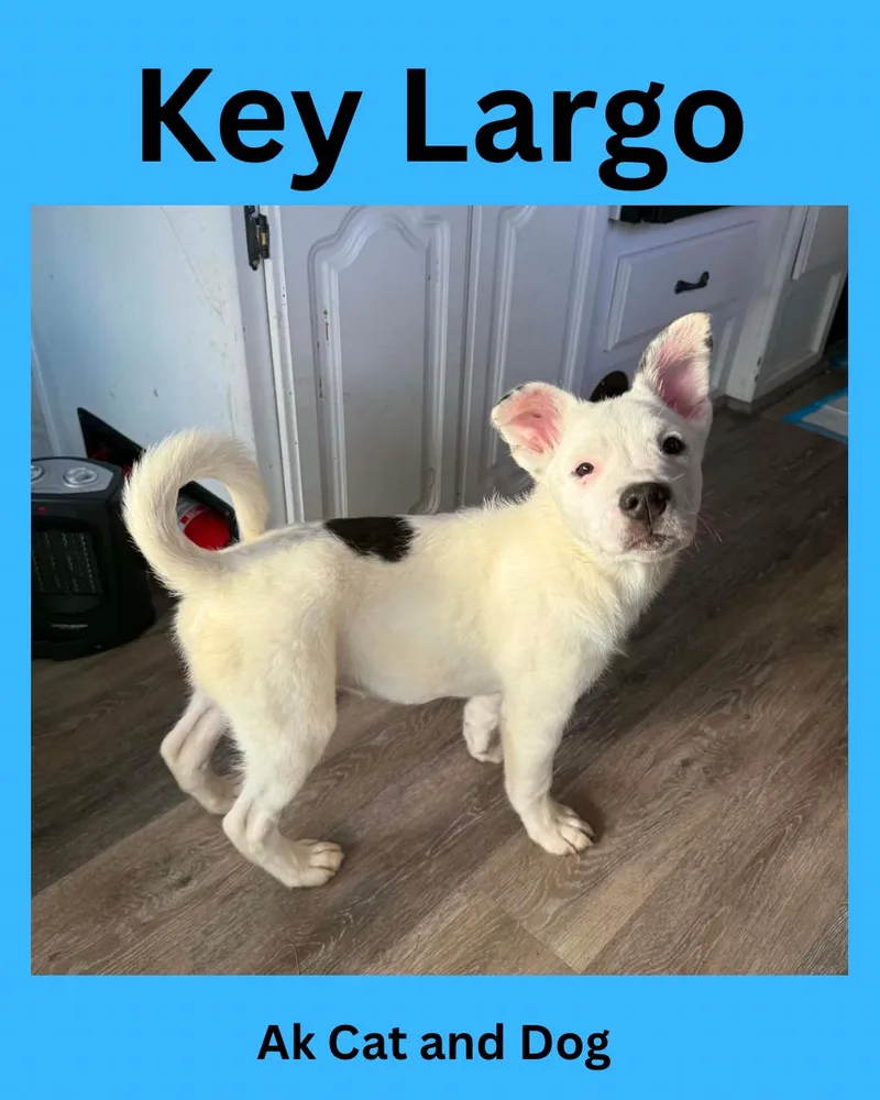 Key Largo