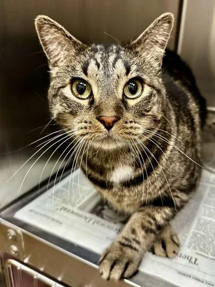 Theodore thumbnail 2