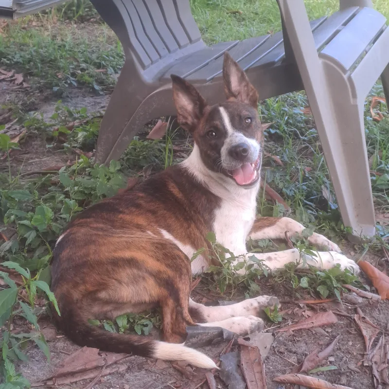 Lucy