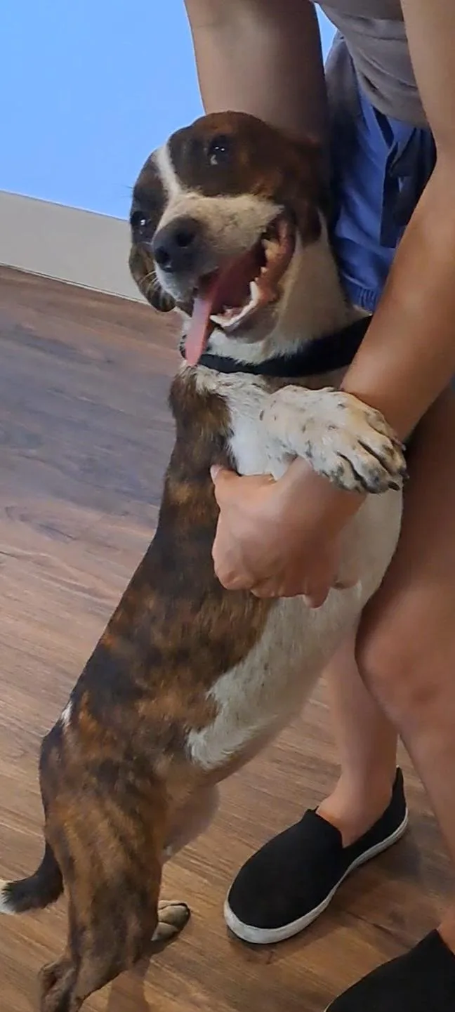 Lucy thumbnail 3