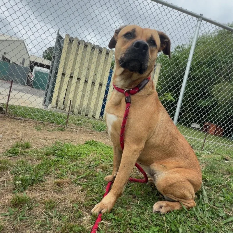 Naomie