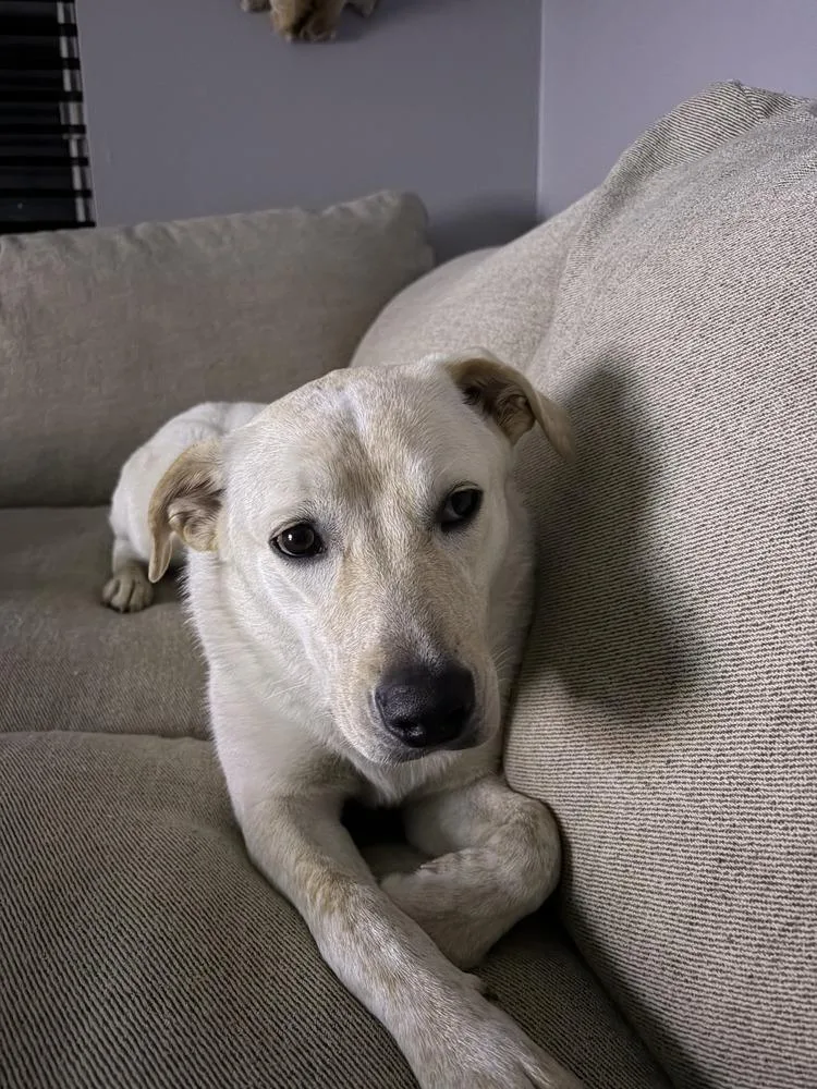 Marry Me : Taylor thumbnail 2