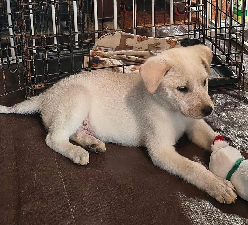 Marry Me : Taylor thumbnail 4