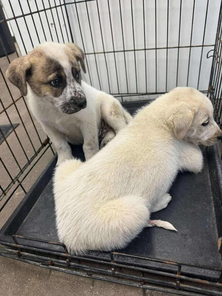 Marry Me : Taylor thumbnail 5