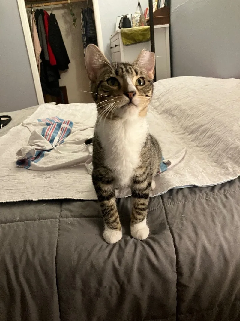 Bruno & Luna thumbnail 2