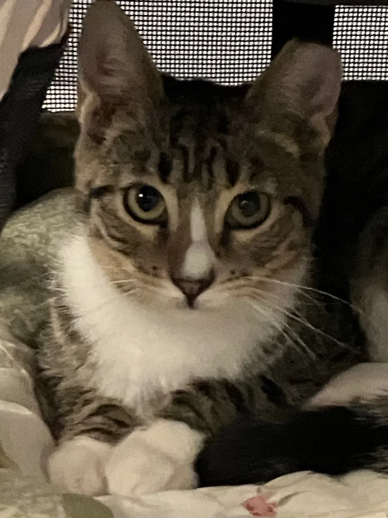 Bruno & Luna thumbnail 3