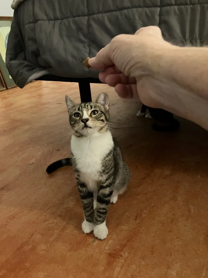 Bruno & Luna thumbnail 4