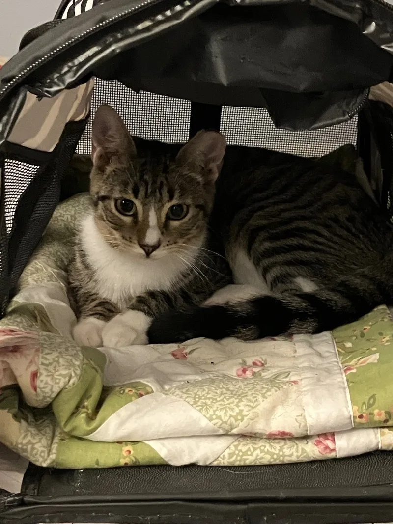 Bruno & Luna thumbnail 5