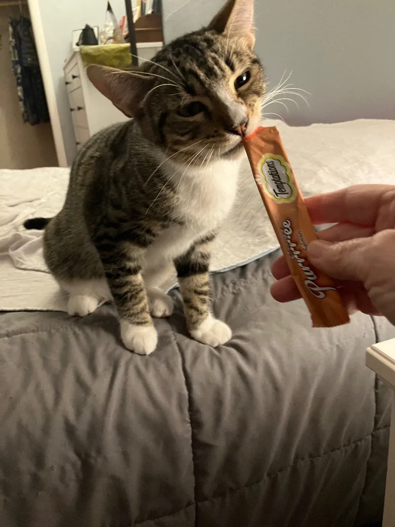 Bruno & Luna thumbnail 6