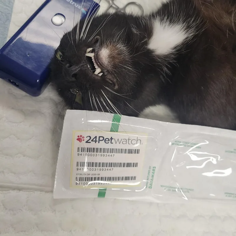 Roberts Noney TNR KM