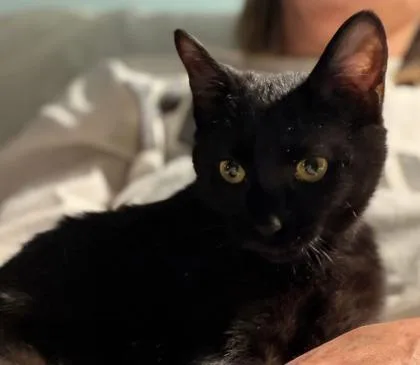 Charlotte thumbnail 2