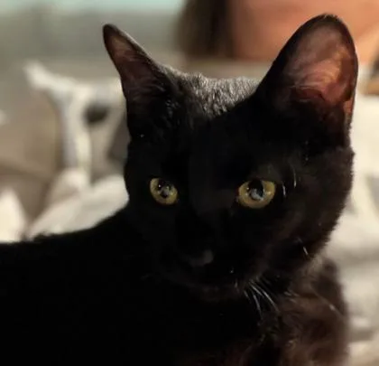 Charlotte thumbnail 3