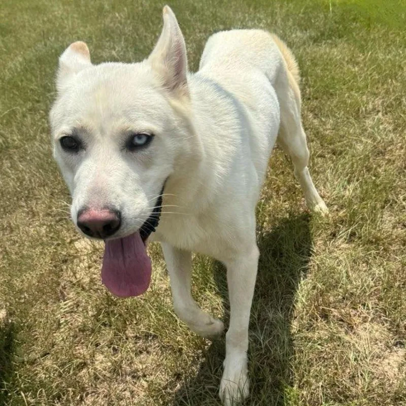 Champagne thumbnail 2