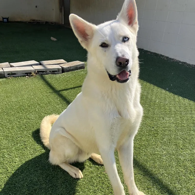 Champagne thumbnail 3