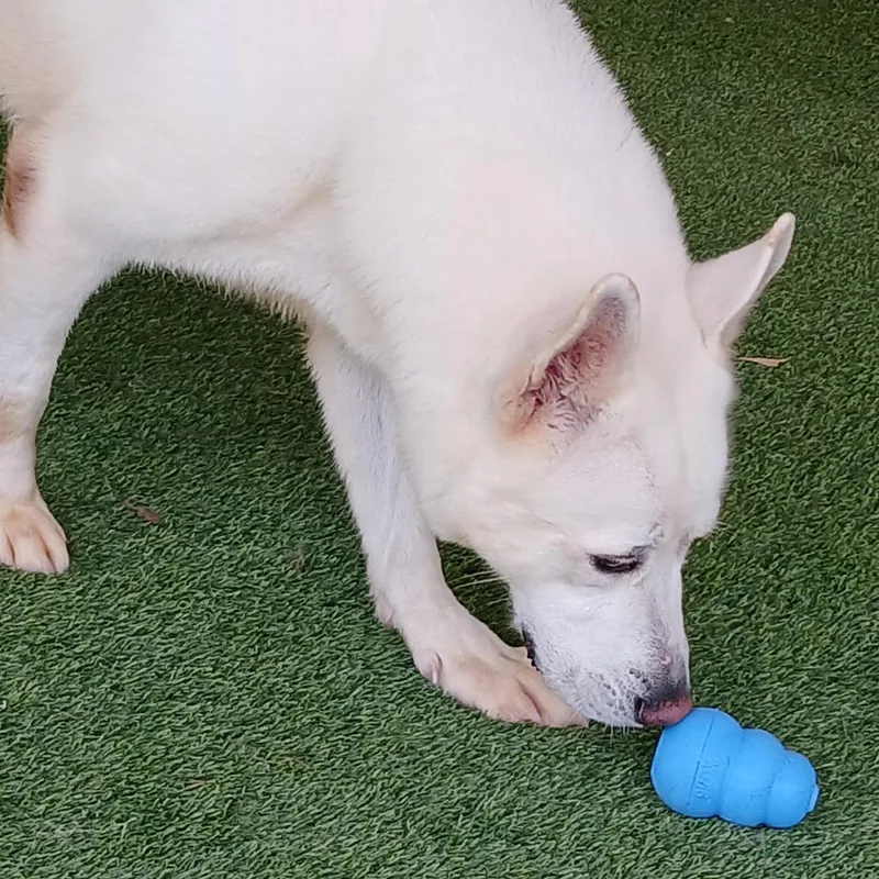 Champagne thumbnail 4