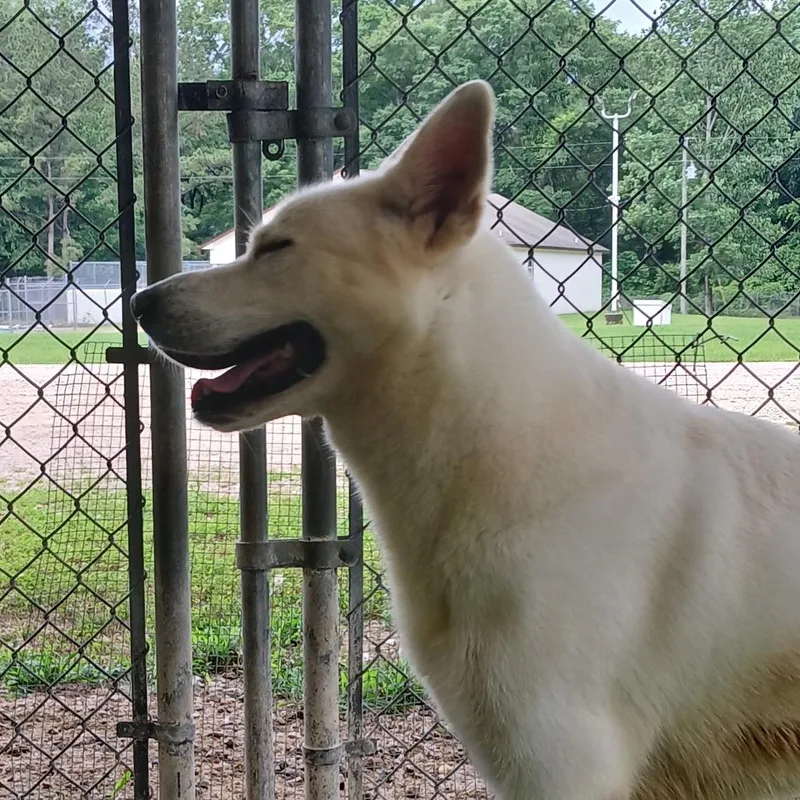 Champagne thumbnail 5