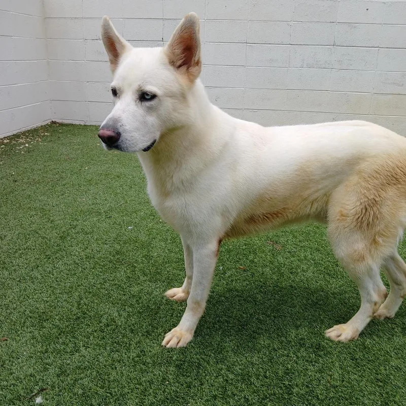 Champagne thumbnail 6