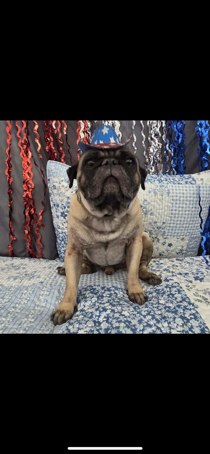 Otis