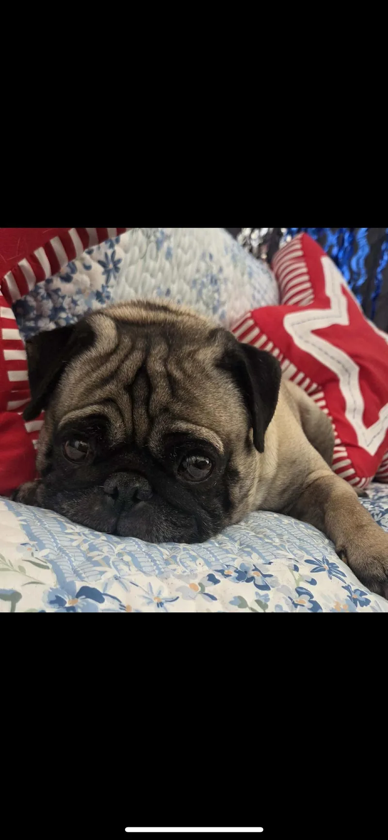 Otis thumbnail 4
