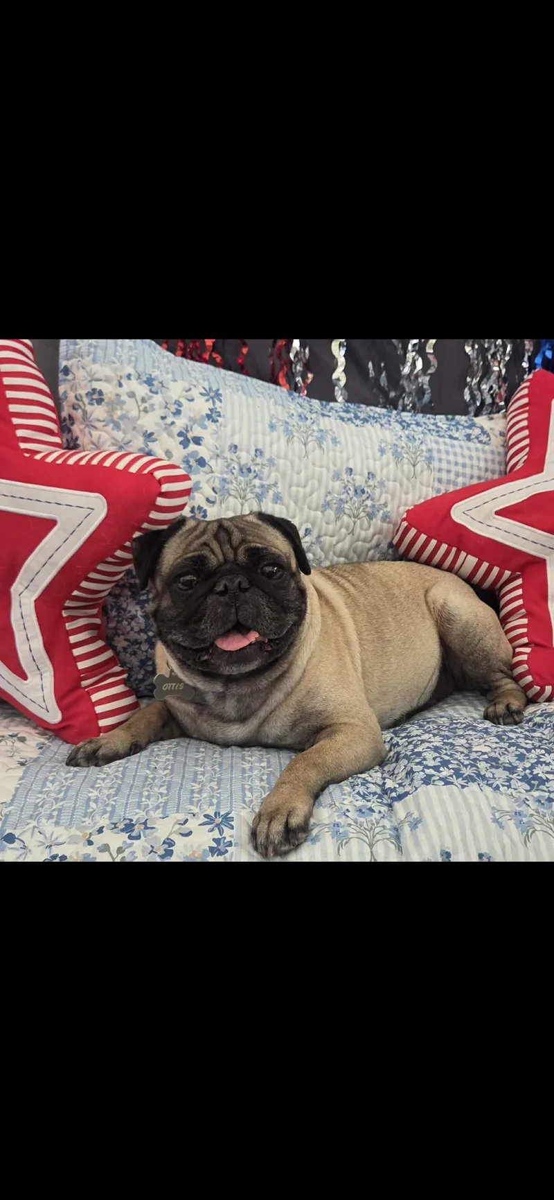 Otis thumbnail 5