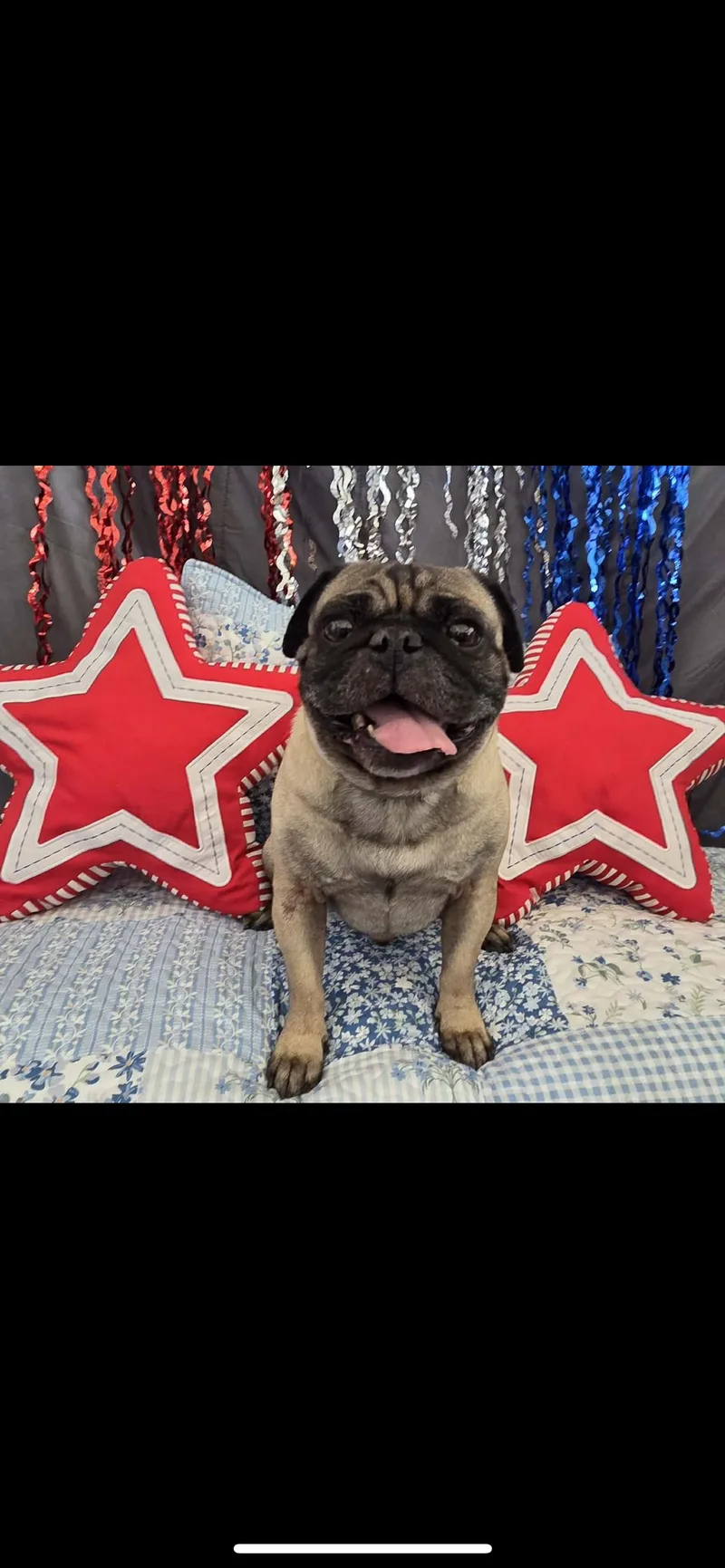 Otis thumbnail 6