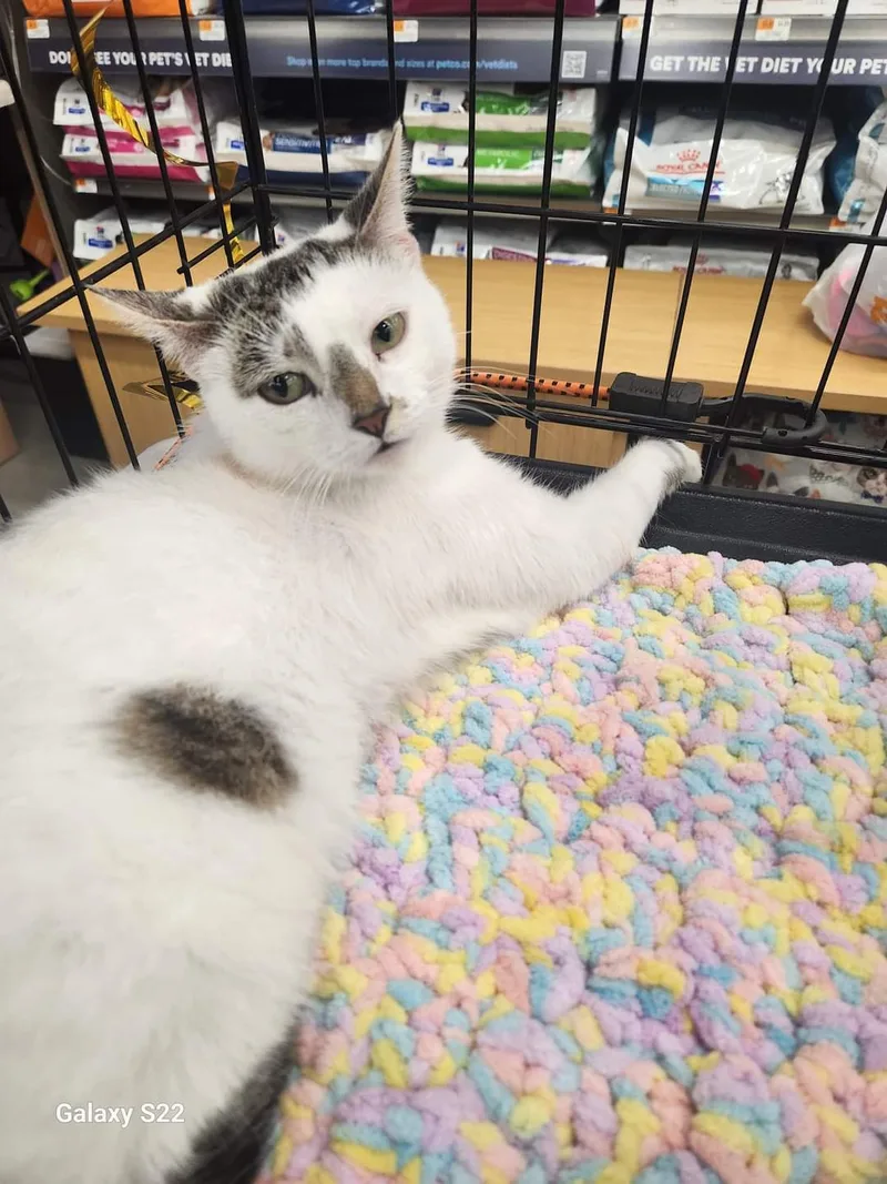 Chardonnay thumbnail 2