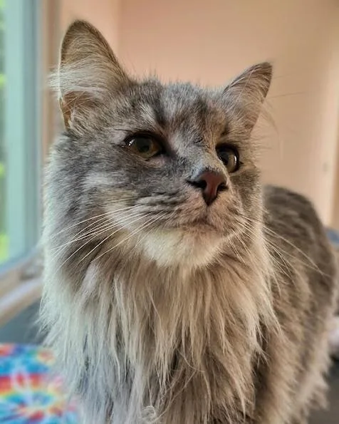 Itsy